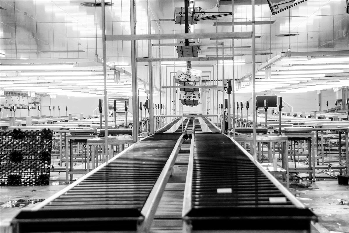 Conveyor systems